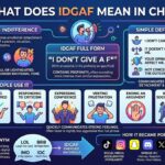 IDGAF Meaning in Chat Definition, Examples & How to Use It