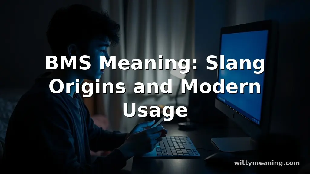 bms meaning slang