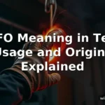 fafo meaning in text