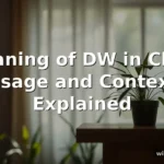 meaning of dw in chat