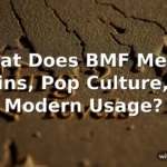what does bmf mean