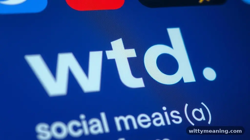WTD Meaning on Social Media Platforms - wtd meaning in text