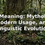 fae meaning