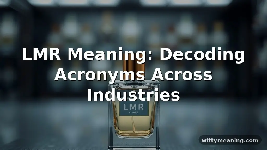 lmr meaning
