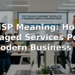 msp meaning
