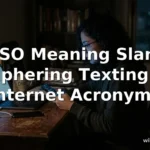 ptso meaning slang