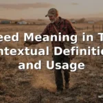 reseed meaning in text