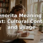 senorita meaning in text