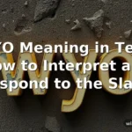 wyo meaning in text