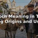 chooch meaning in text