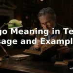 ergo meaning in text