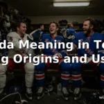 ferda meaning in text