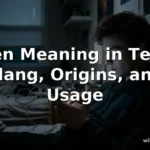 fien meaning in text