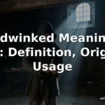 hoodwinked meaning in text
