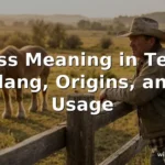 hoss meaning in text